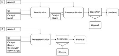 State of the Art of Catalysts for Biodiesel Production